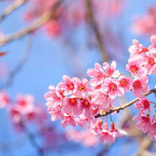 Естетика 🌸 🦋 🌄 | Картинки, фото - заставки та шпалери | Pictures Wallpaper — Телеграм канал